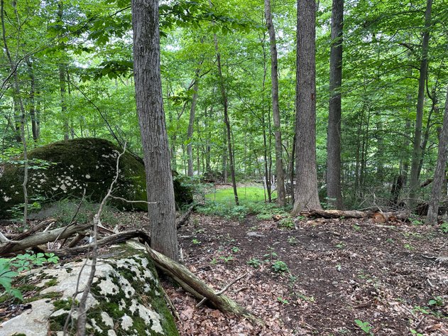 Image for Sold! Vacant Lot For Auction | 2751 Swamp Creek Road, Pennsburg, PA 18073 | July 8, 2025 at 4:00 PM