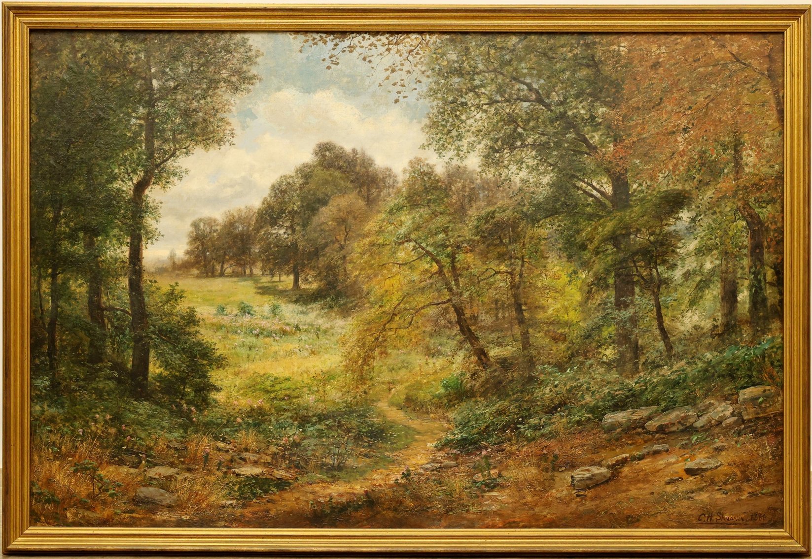 Image for Collectors | July 24, 2025 at 10:00 AM