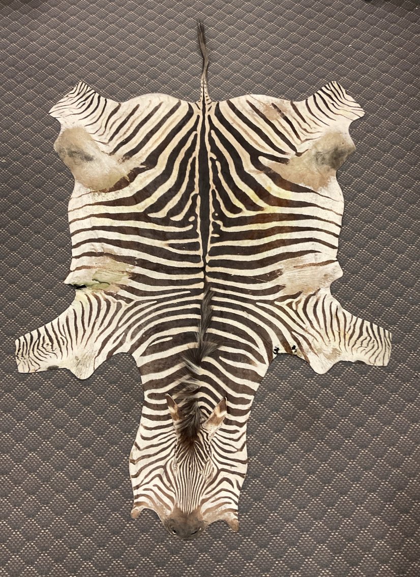 Image for Estate Sale | Ottsville, PA | August 18, 2025 at 8:00 PM