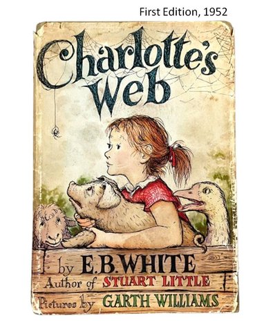 Image for Home & Decor | September 11, 2025 at 8:00 PM