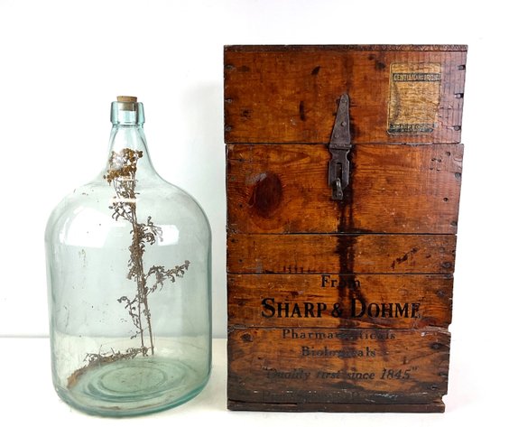 Image for Home & Decor | October 23, 2025 at 8:00 PM