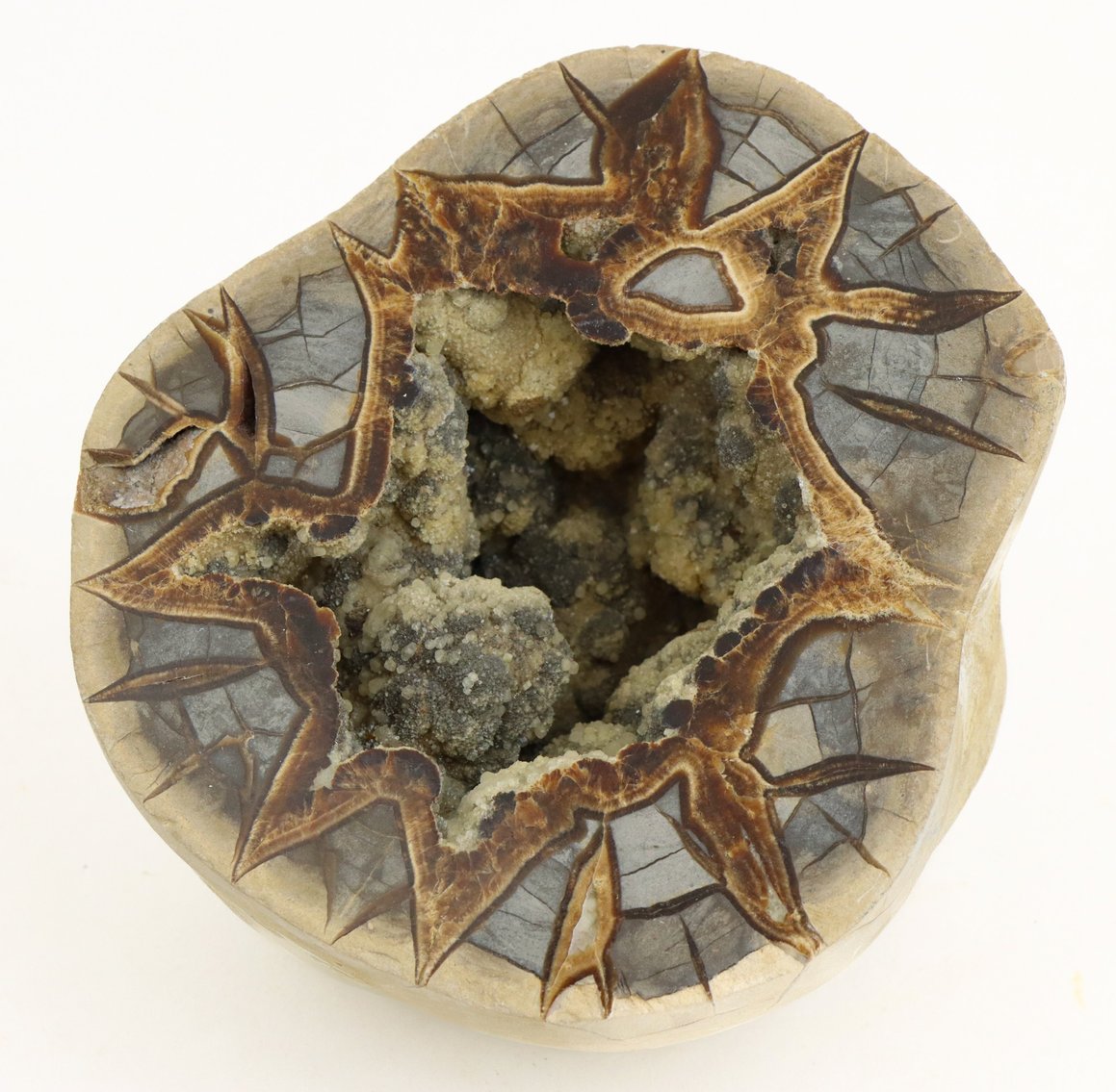 Image for Mineral Specimens and Gemstones | May 7, 2026 at 7:00 PM