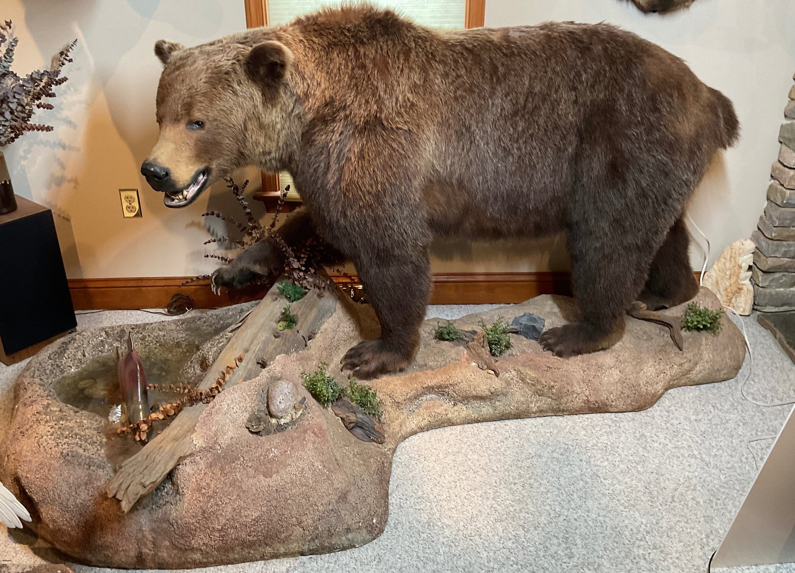 Image for Taxidermy Estate Sale | Oley, PA | June 1, 2026 at 8:00PM