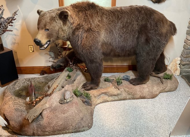 Image for Taxidermy Estate Sale | Oley, PA | June 1, 2026 at 8:00PM