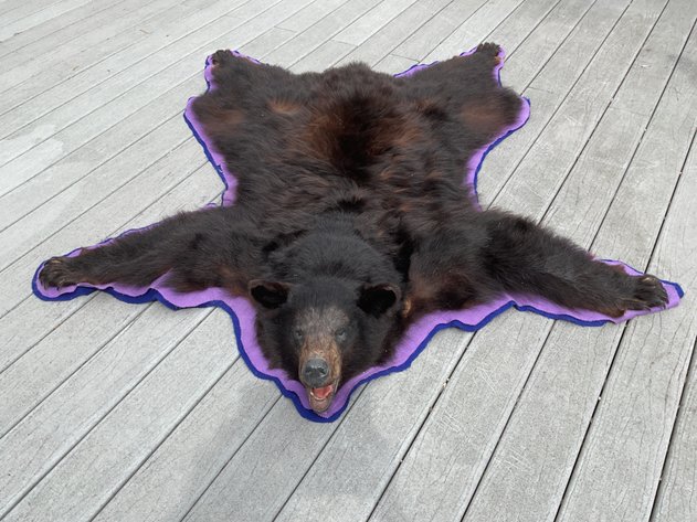 Image for Taxidermy Estate Sale | Oley, PA | June 1, 2026 at 8:00PM