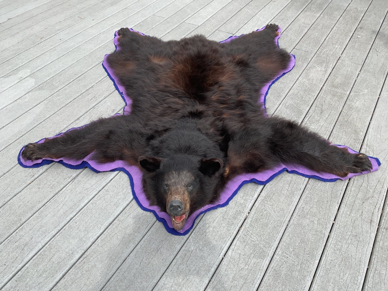 Image for Taxidermy Estate Sale | Oley, PA | June 1, 2026 at 8:00PM