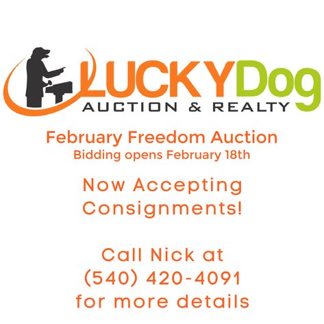 Image for February Freedom Auction