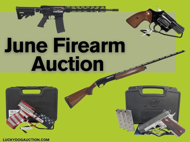 Image for June Firearm Auction