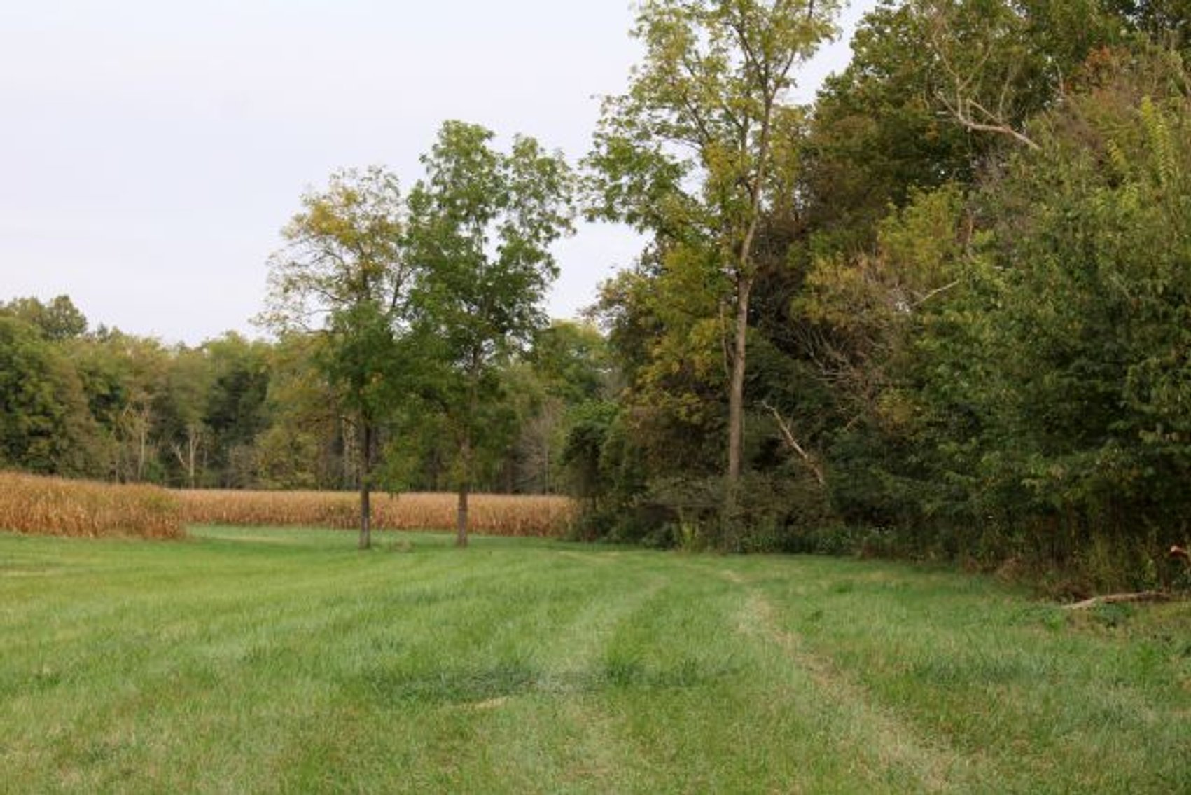 Image for 52+ ACRES - SELLS ABSOLUTE - REGARDLESS OF PRICE