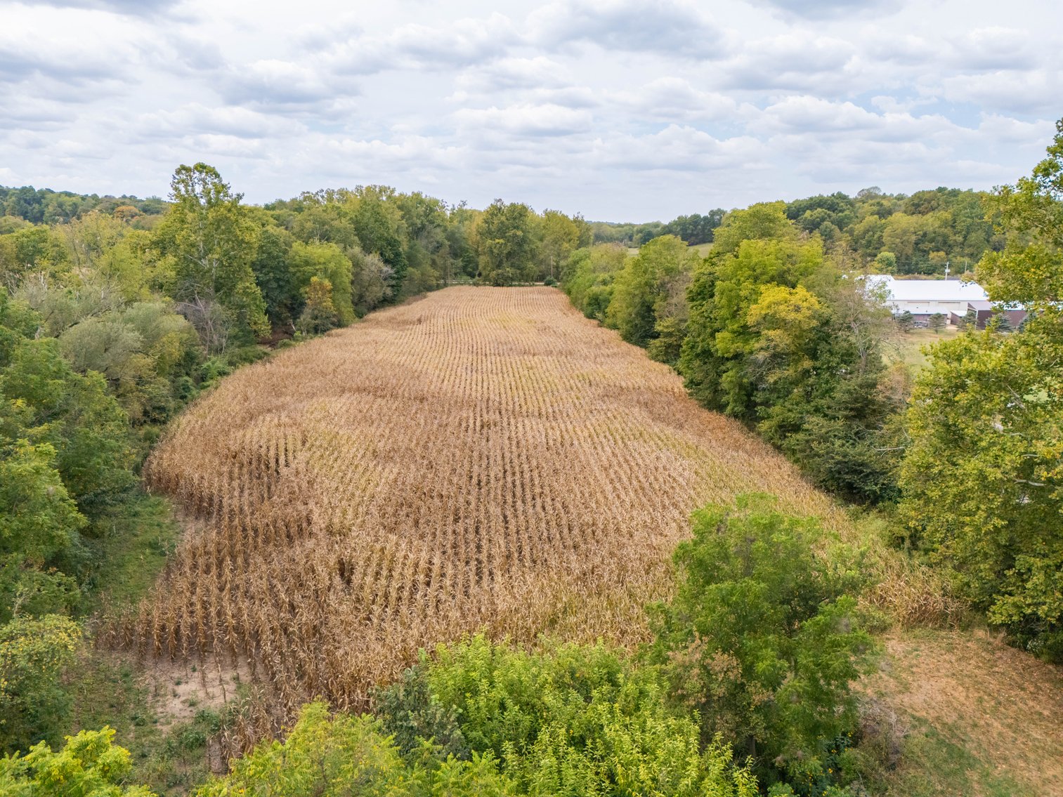 Image for 52+ ACRES - SELLS ABSOLUTE - REGARDLESS OF PRICE