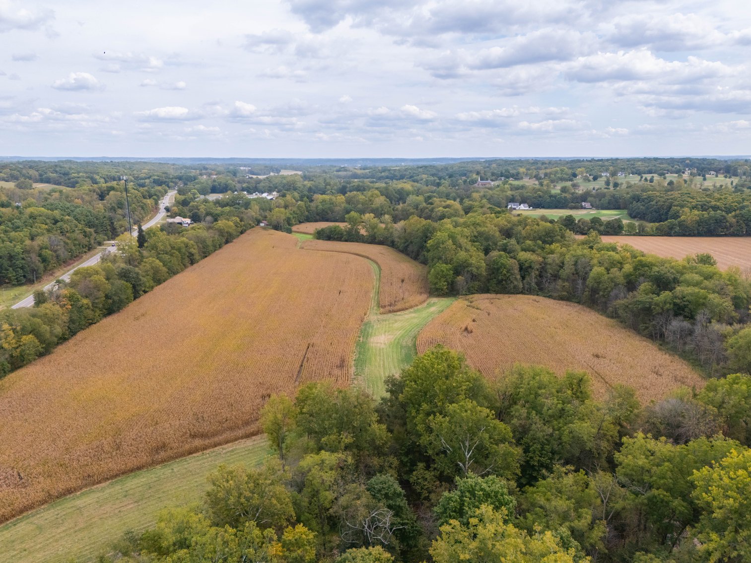 Image for 52+ ACRES - SELLS ABSOLUTE - REGARDLESS OF PRICE