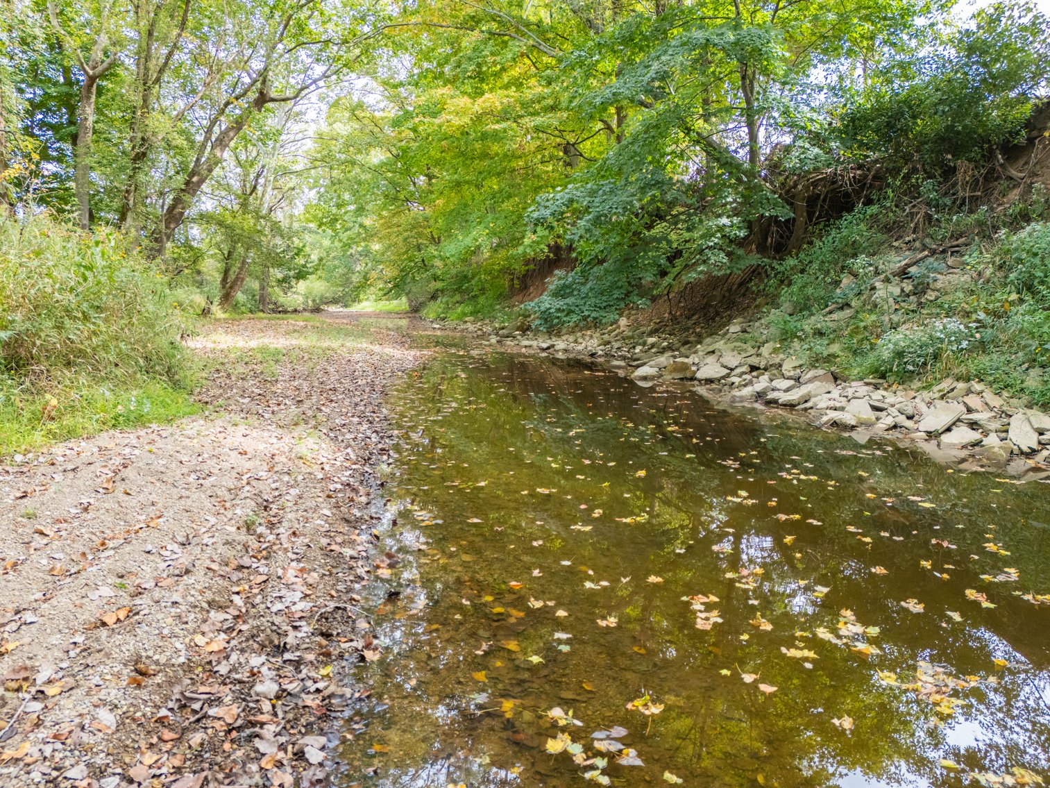 Image for 52+ ACRES - SELLS ABSOLUTE - REGARDLESS OF PRICE