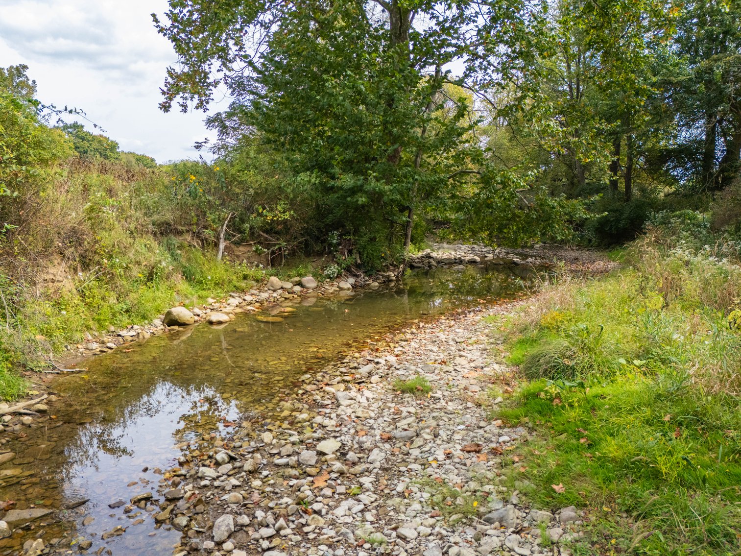Image for 52+ ACRES - SELLS ABSOLUTE - REGARDLESS OF PRICE