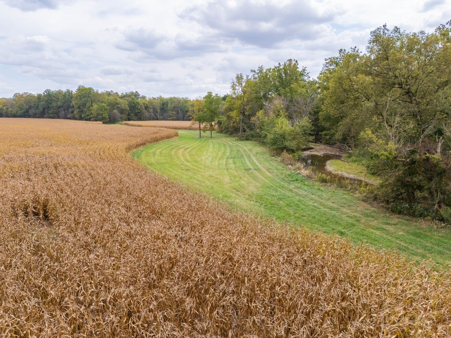 Image for 52+ ACRES - SELLS ABSOLUTE - REGARDLESS OF PRICE