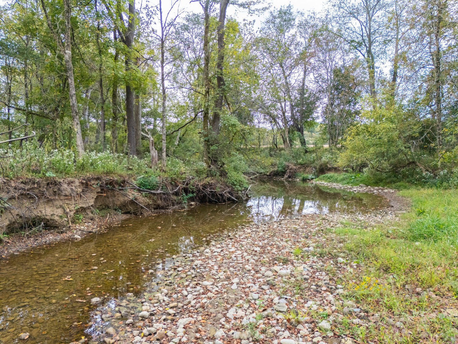 Image for 52+ ACRES - SELLS ABSOLUTE - REGARDLESS OF PRICE