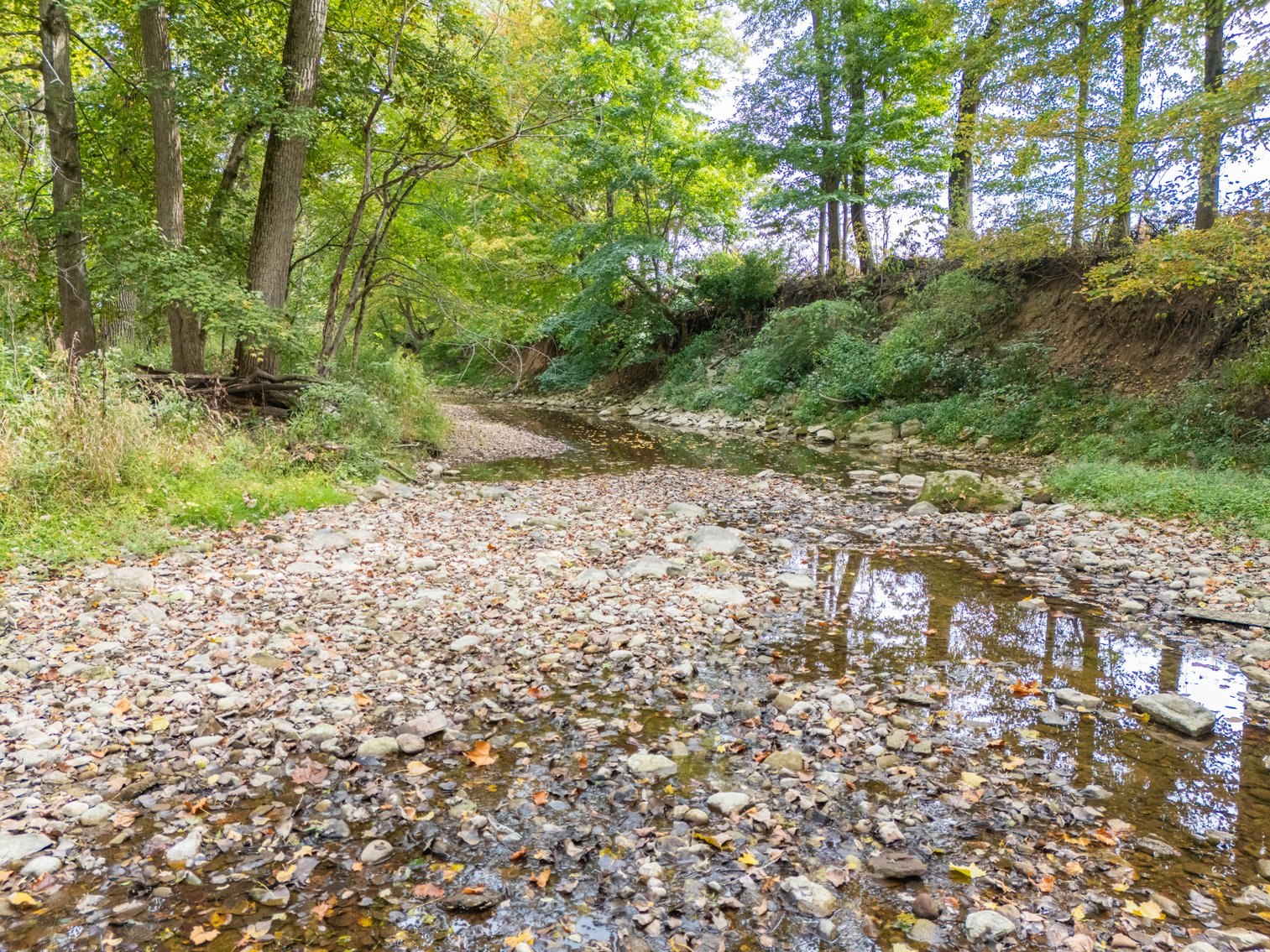 Image for 52+ ACRES - SELLS ABSOLUTE - REGARDLESS OF PRICE