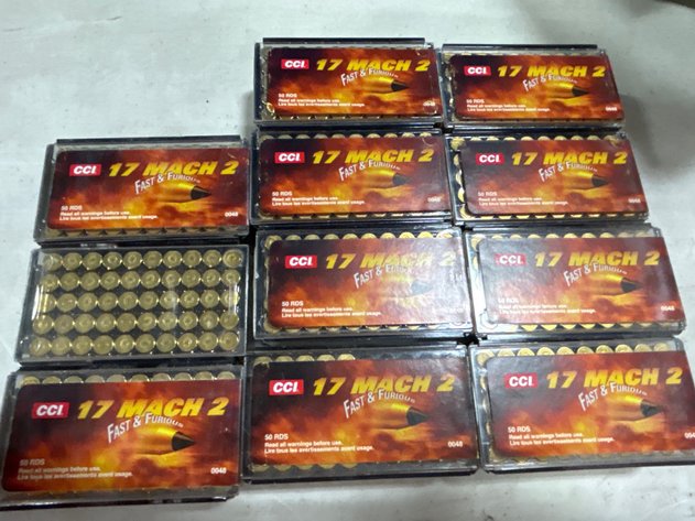 Image for GUNS-TONS OF AMMO-ACCESSORIES