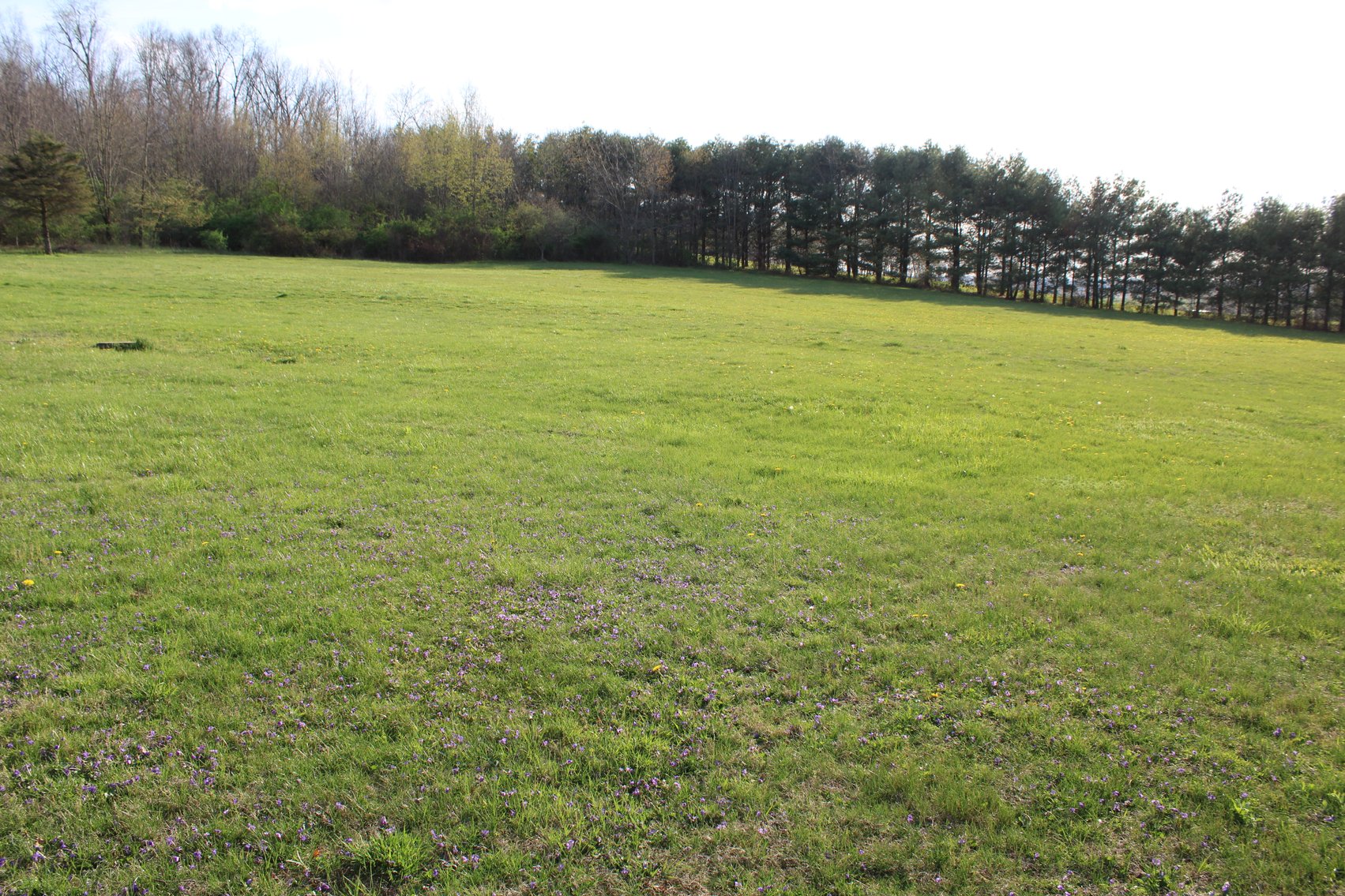 Image for 8563 Hazel Dell Rd Howard, OH