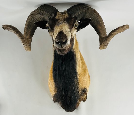 Image for Spooktacular Fantastic Finds October 2023