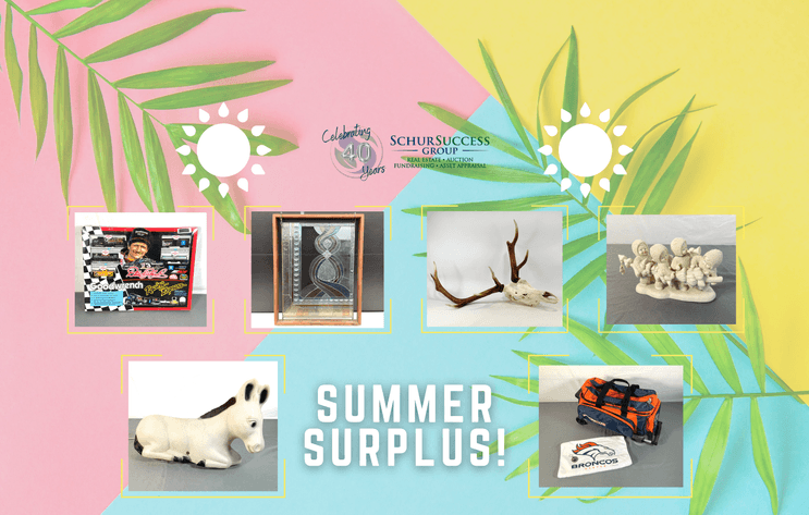 Image for Summer Surplus