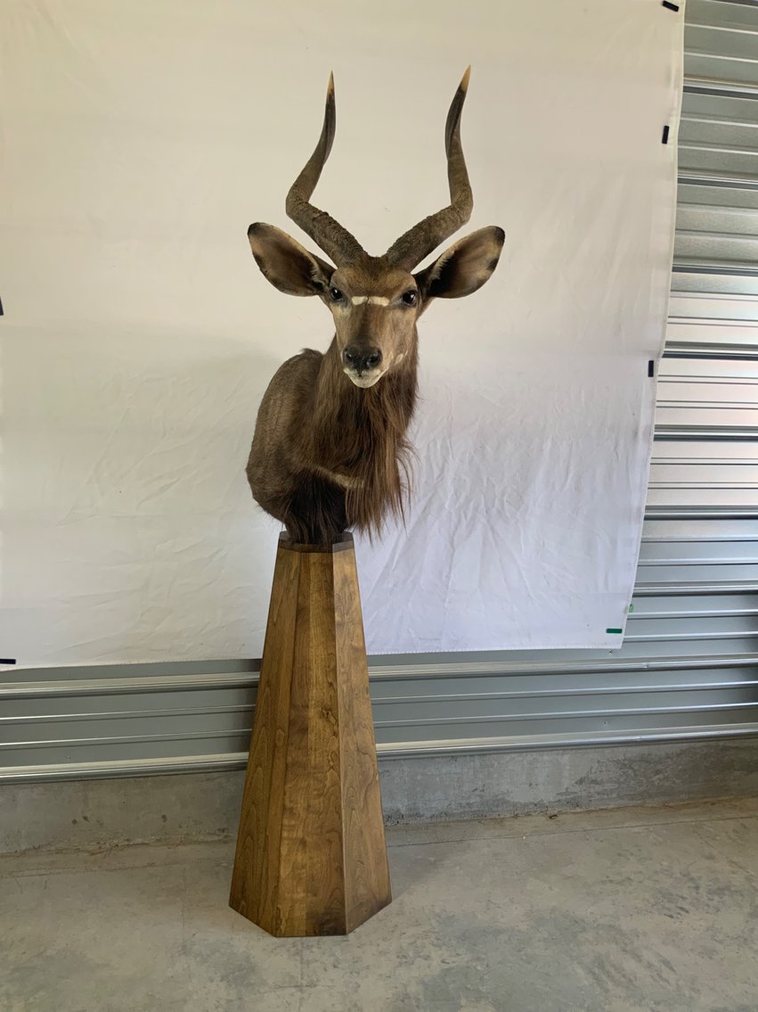 Image for Taxidermy Monument