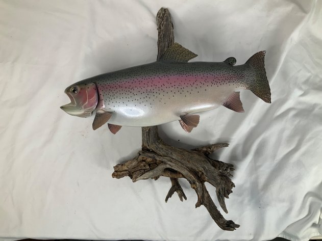 Image for Taxidermy Monument