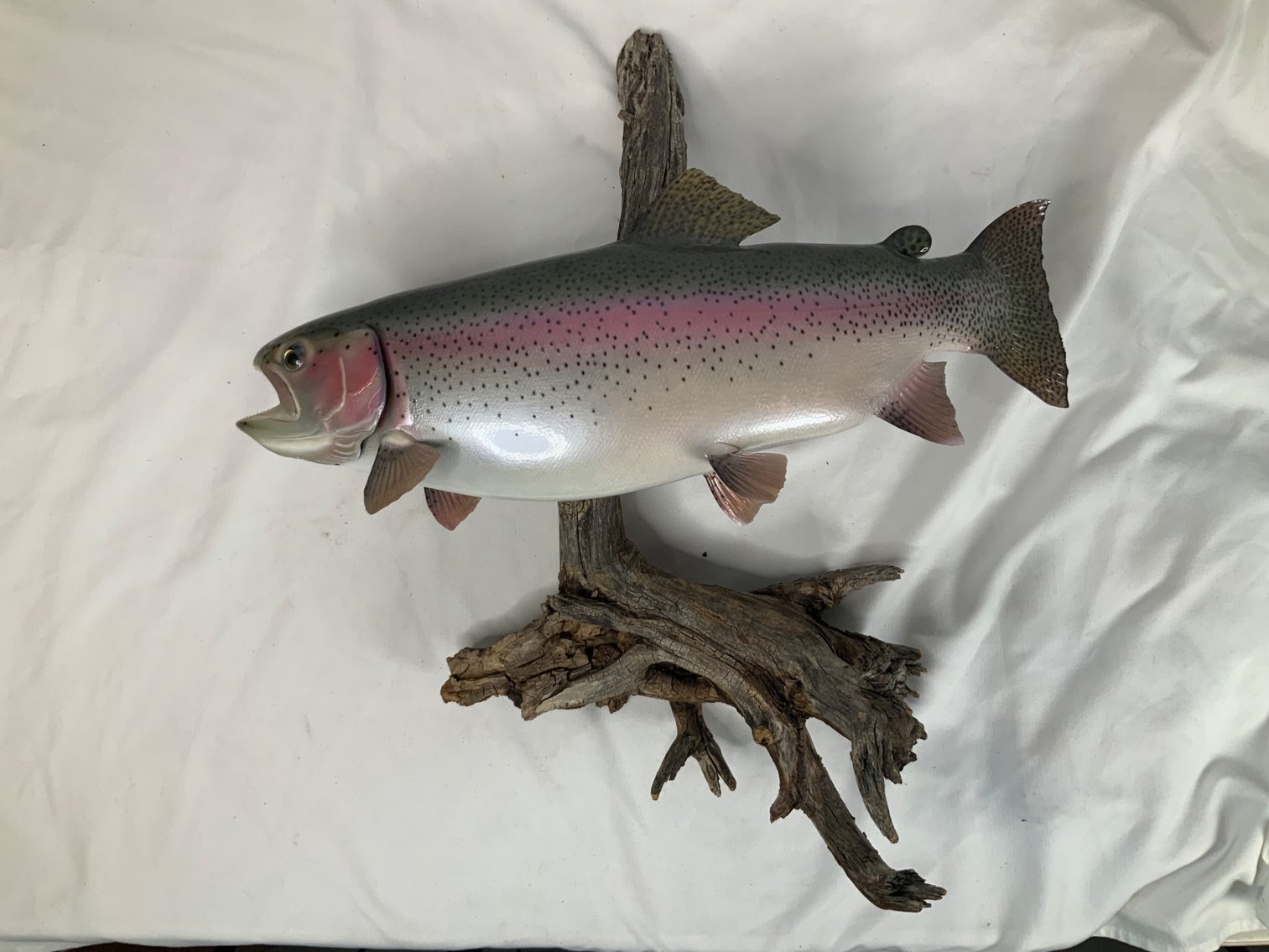 Image for Taxidermy Monument