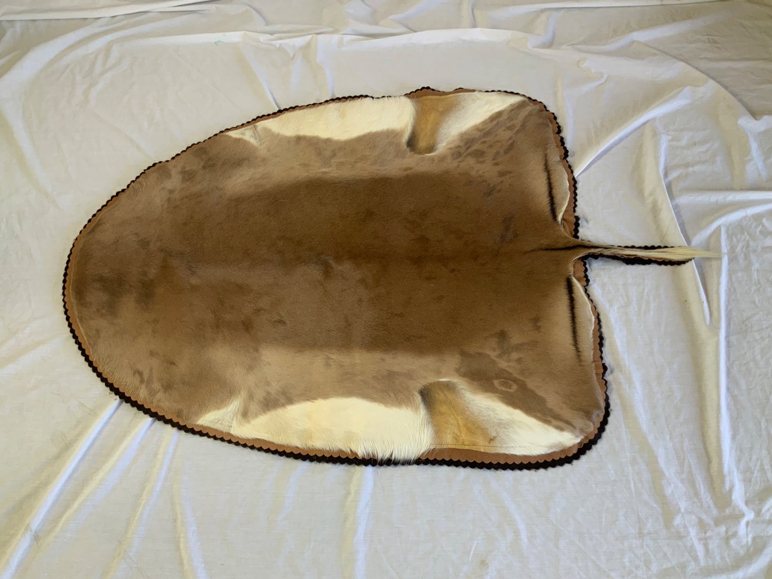 Image for Taxidermy Monument