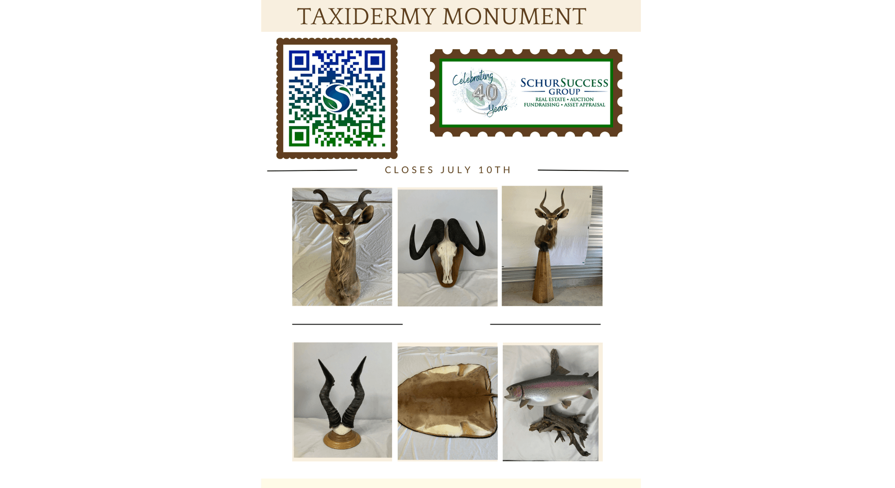 Image for Taxidermy Monument