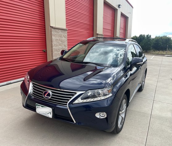 Image for Whimsical Wonders September 2024