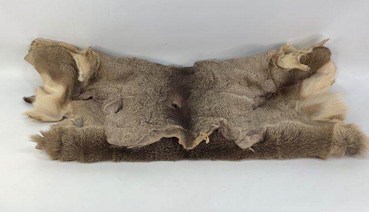 Image for Whimsical Wonders May 2025