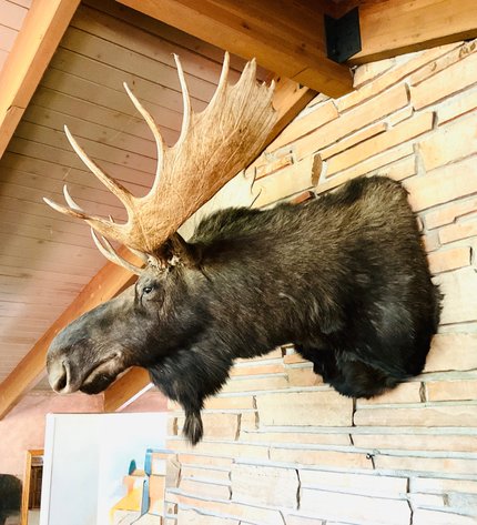 Image for Perry Park Ranch Estate 2025