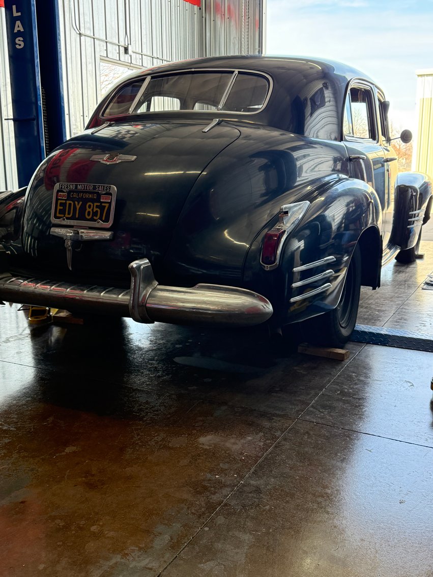 Image for Delightful Discoveries March 2026