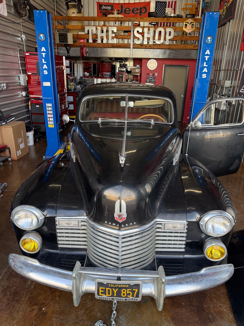 Image for Delightful Discoveries March 2026