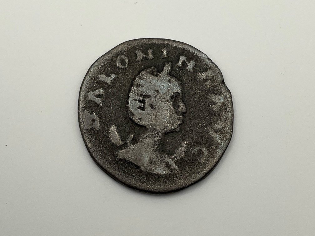 Image for Coin, Currency & Bullion June 2026