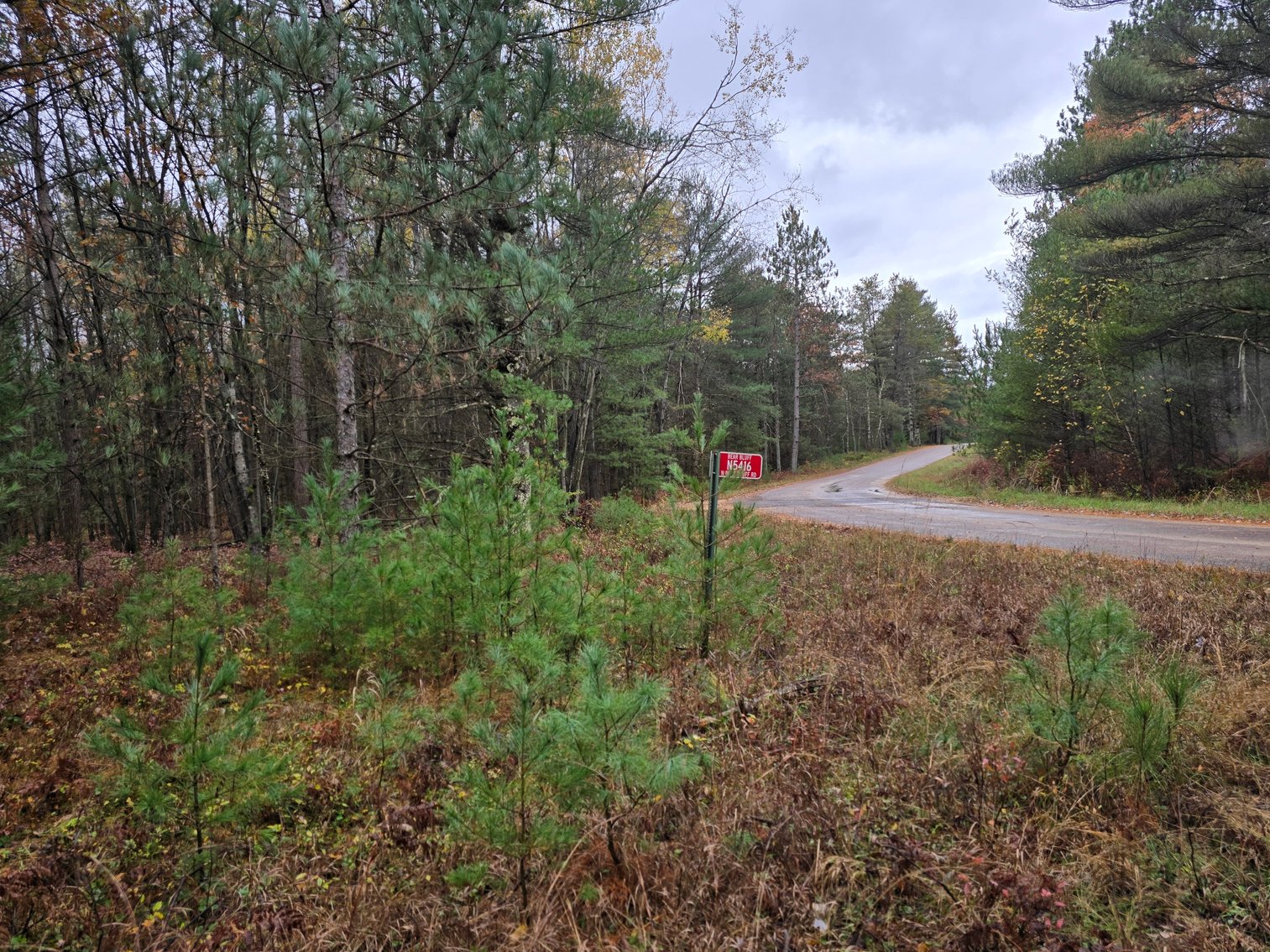 Image for SOLD!!!   MLS# 1940716 - 20 Acres Hunting Land