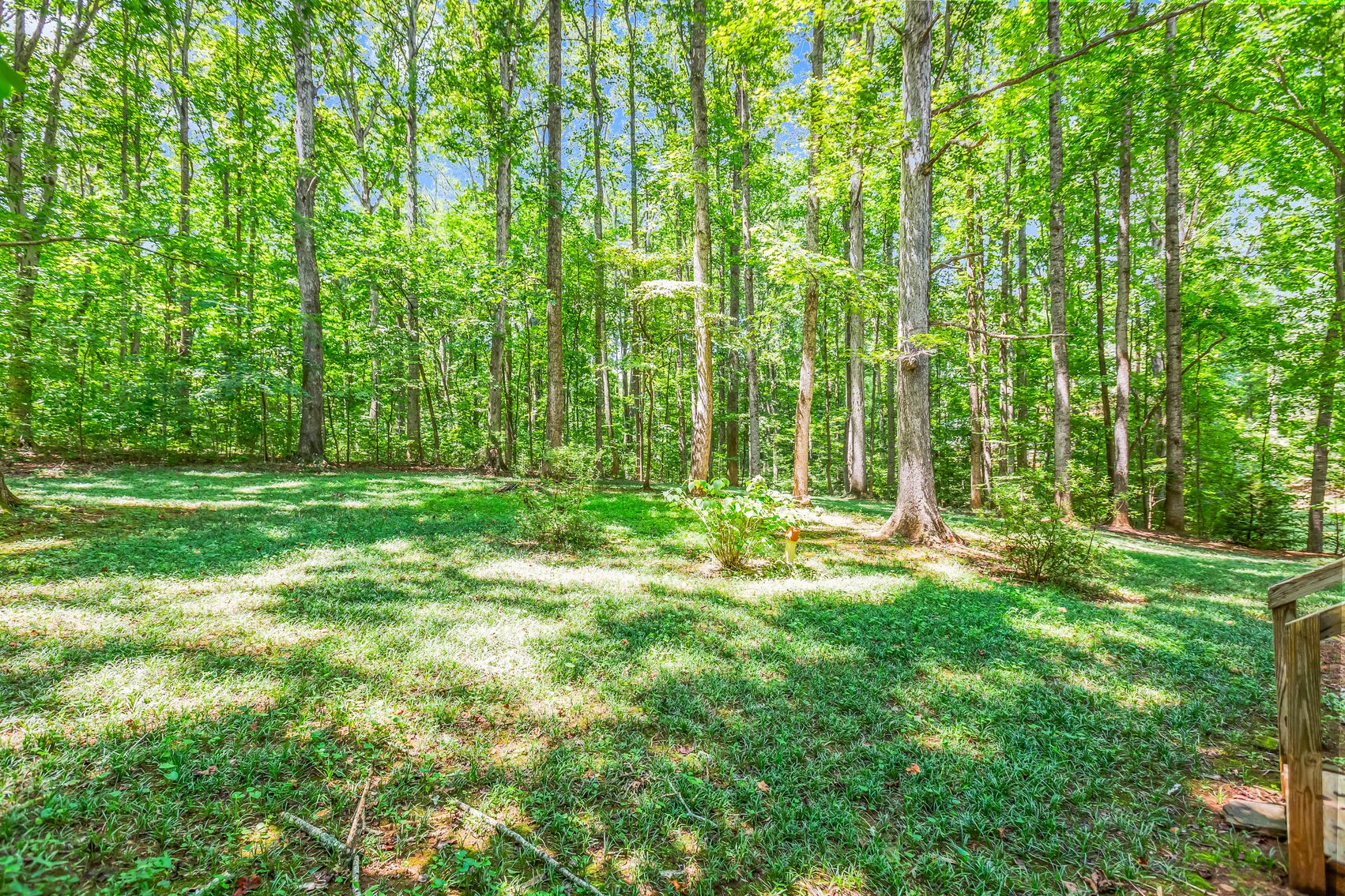 Lewisville Investment Opportunity