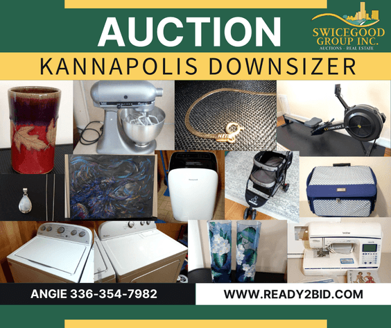 Image for Kannapolis Downsizer