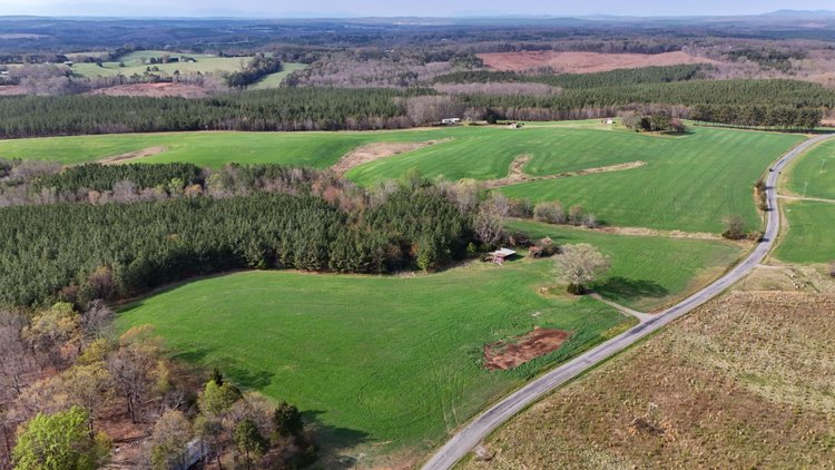Image for 120 Acres In Gladys Being Sold in Multiple Tracts