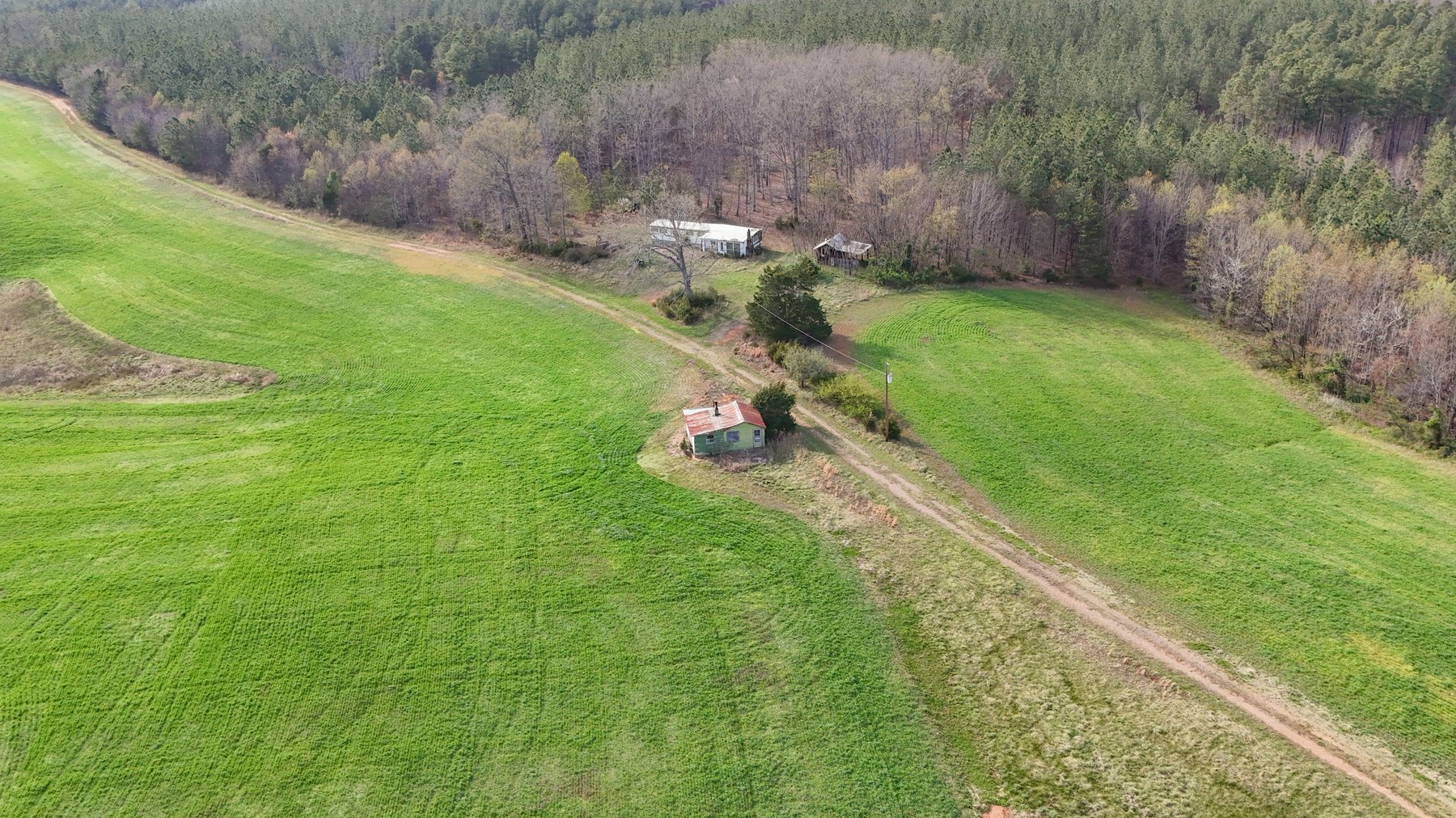 Image for 120 Acres In Gladys Being Sold in Multiple Tracts