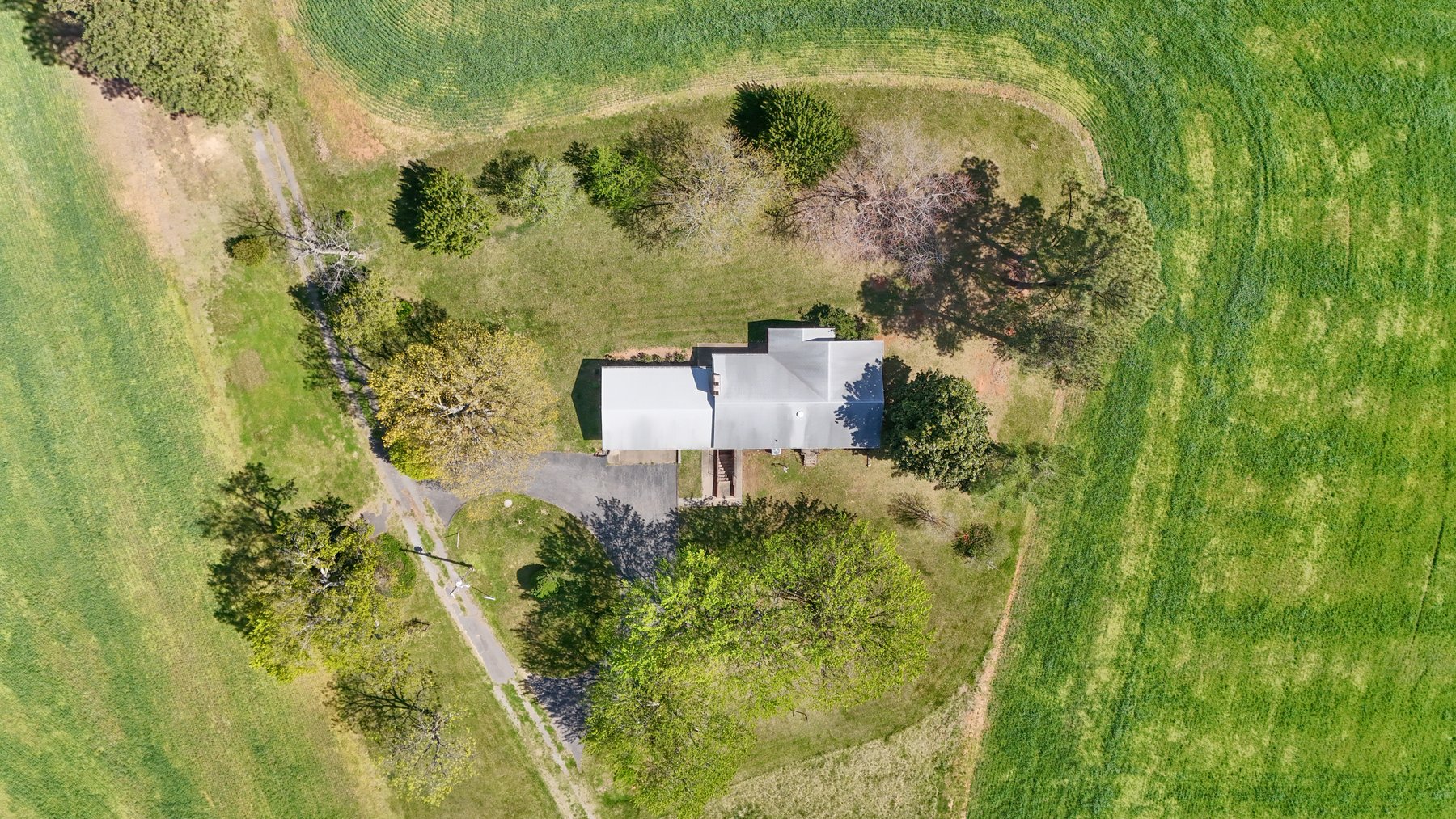 Image for 120 Acres In Gladys Being Sold in Multiple Tracts