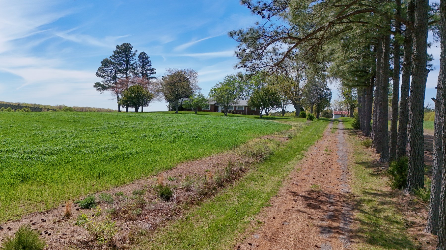 Image for 120 Acres In Gladys Being Sold in Multiple Tracts