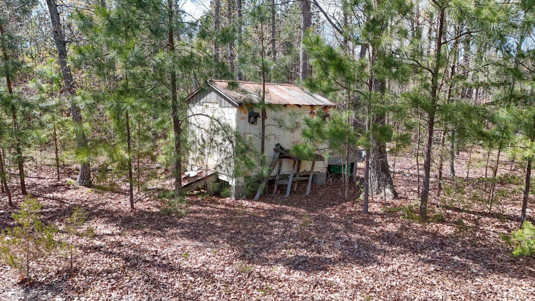 Image for 120 Acres In Gladys Being Sold in Multiple Tracts