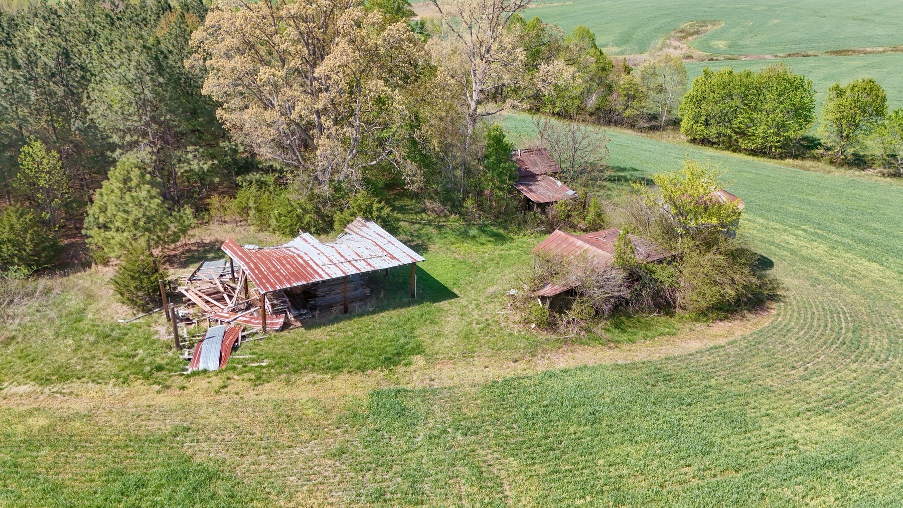 Image for 120 Acres In Gladys Being Sold in Multiple Tracts