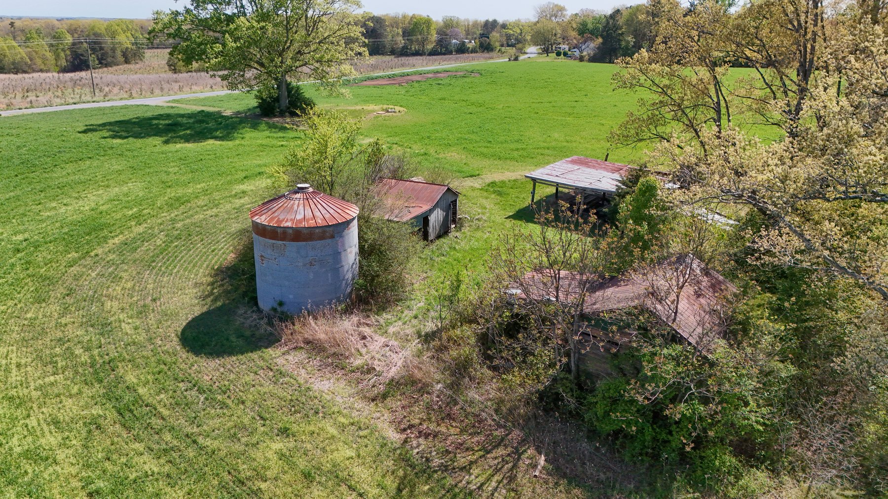 Image for 120 Acres In Gladys Being Sold in Multiple Tracts