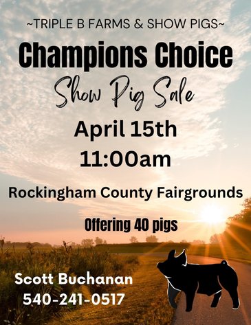 Image for Champions Choice Pig Sale