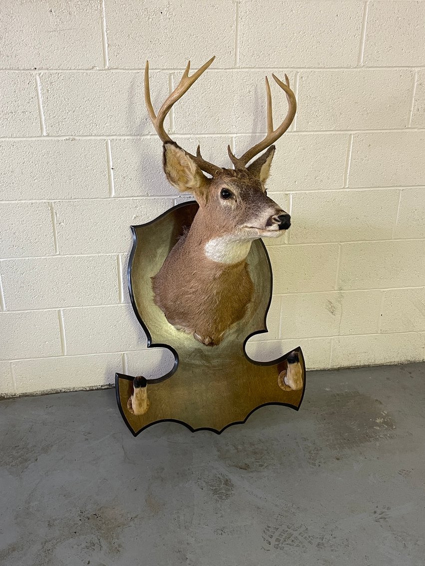 Image for Steve Biller & Julie 