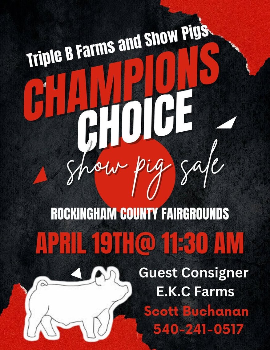 Image for Champions Choice Show Pig Sale 2025