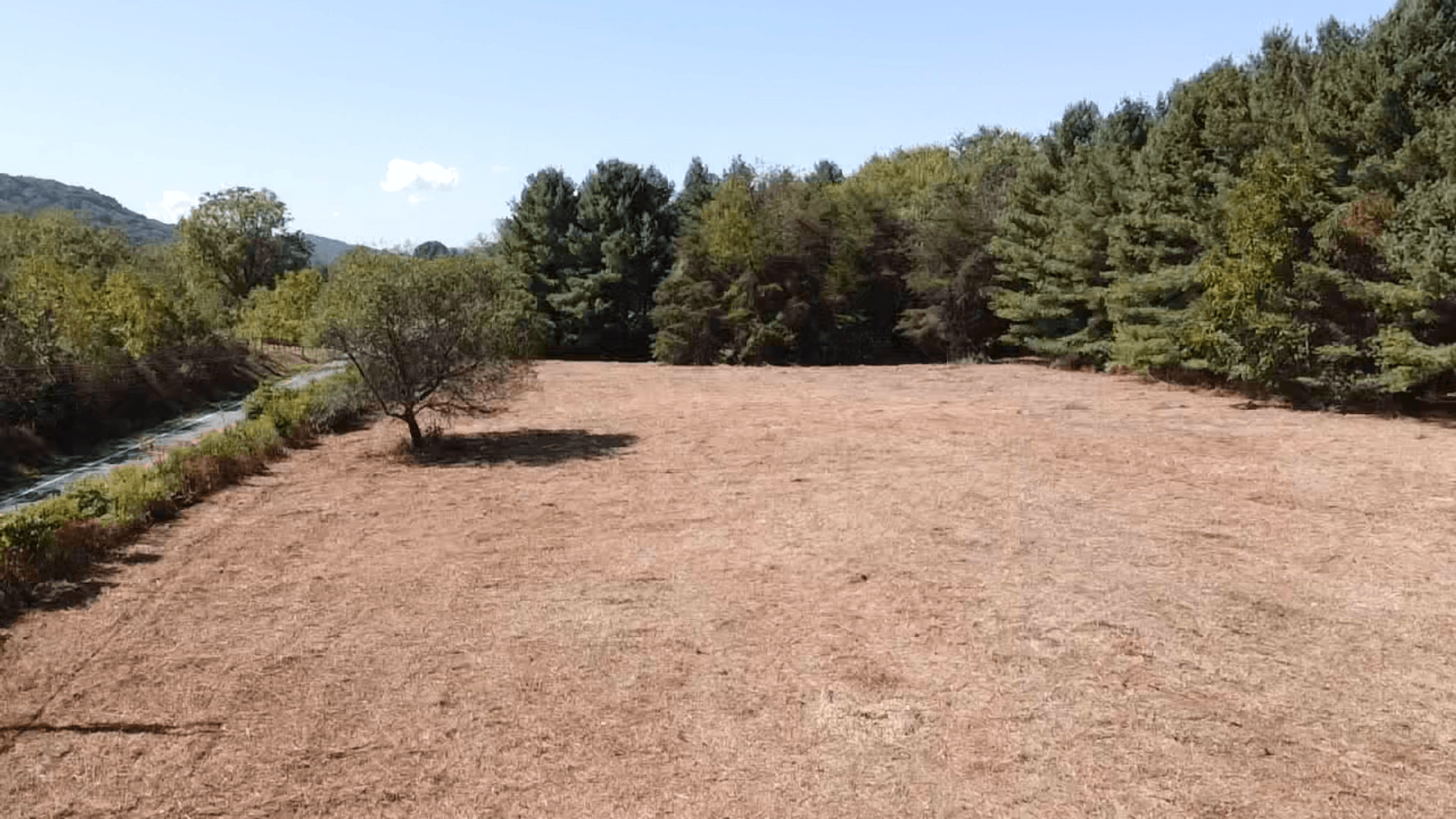 Image for **AUCTION CANCELED** 88+ Acres Wooded Property Bordering National Forest