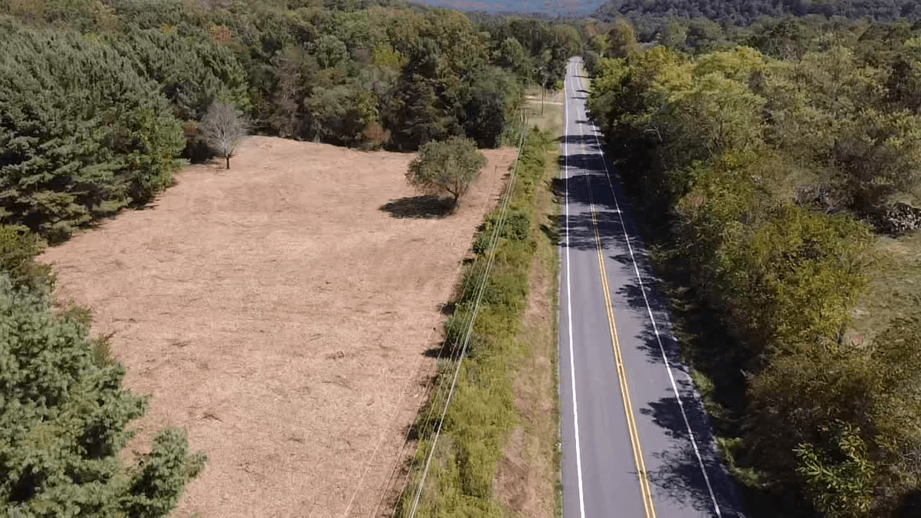 Image for **AUCTION CANCELED** 88+ Acres Wooded Property Bordering National Forest